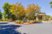rohlffs-manor-ground-exterior-14-of-36